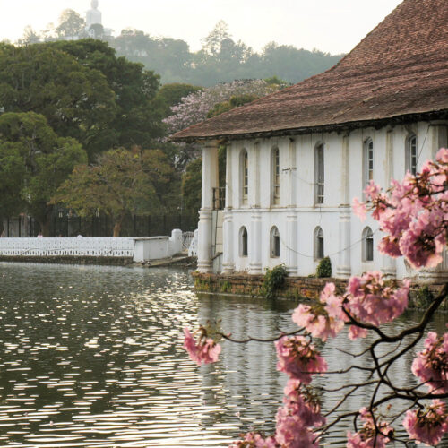 kandy-3 (1)