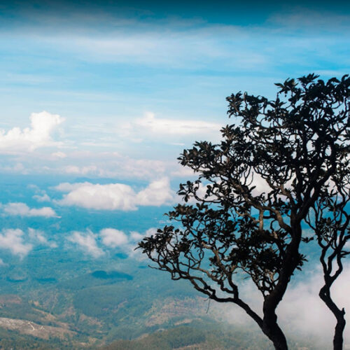 Idalgashinna-Mountain-1