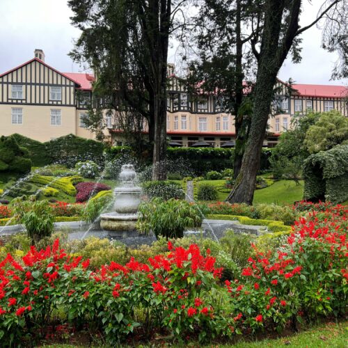 NuwaraEliyaGarden-857681721815938 (1)
